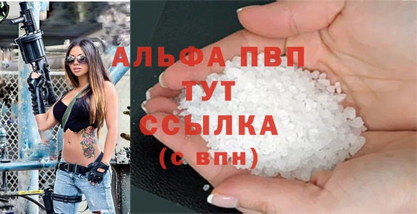 стаф Гатчина