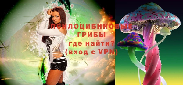 ECSTASY Козельск