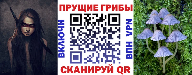 Купить где  Кушва  Галлюциногенные грибы ЛСД 